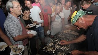 Peta “Utrka tovara” u Sv. Filipu i Jakovu