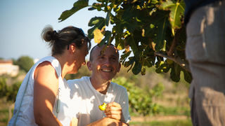 OPG Damjanić-Babac, foto: Darko Belančić OPG Damjanić-Babac, foto: Darko Belančić