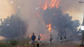 Požar na Plovaniji 11. kolovoza 2013. Foto: Željko Mršić/PIXSELL Požar na Plovaniji 11. kolovoza 2013. Foto: Željko Mršić/PIXSELL