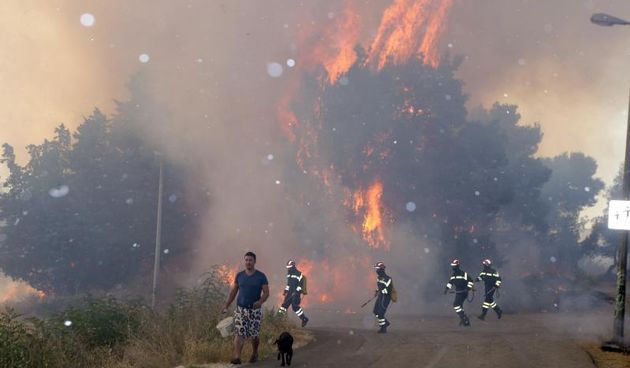 Požar na Plovaniji 11. kolovoza 2013. Foto: Željko Mršić/PIXSELL