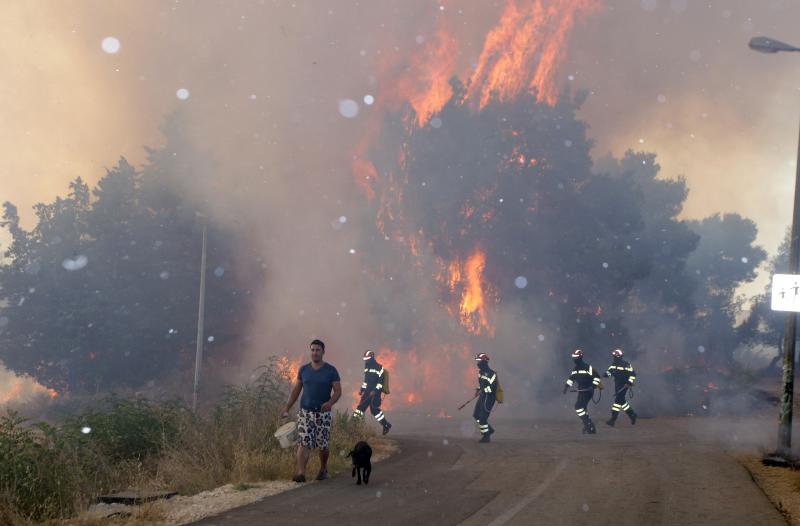 Požar na Plovaniji 11. kolovoza 2013. Foto: Željko Mršić/PIXSELL Požar na Plovaniji 11. kolovoza 2013. Foto: Željko Mršić/PIXSELL