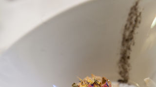 Večer slow food-a u restoranu Kornat, foto: Darko Belancic Večer slow food-a u restoranu Kornat, foto: Darko Belancic