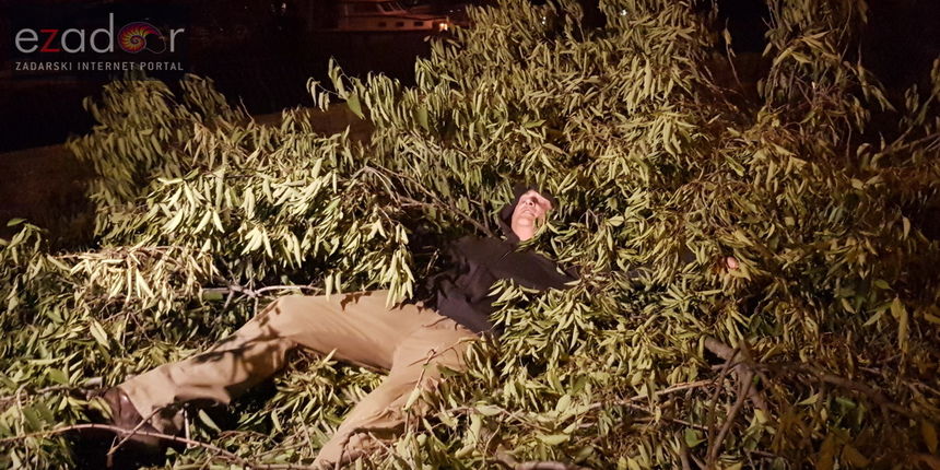 Održan “sprovod” posječenim fafarikulama u Vruljici Održan “sprovod” posječenim fafarikulama u Vruljici