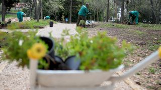 U Vruljici uređen Kišni vrt U Vruljici uređen Kišni vrt