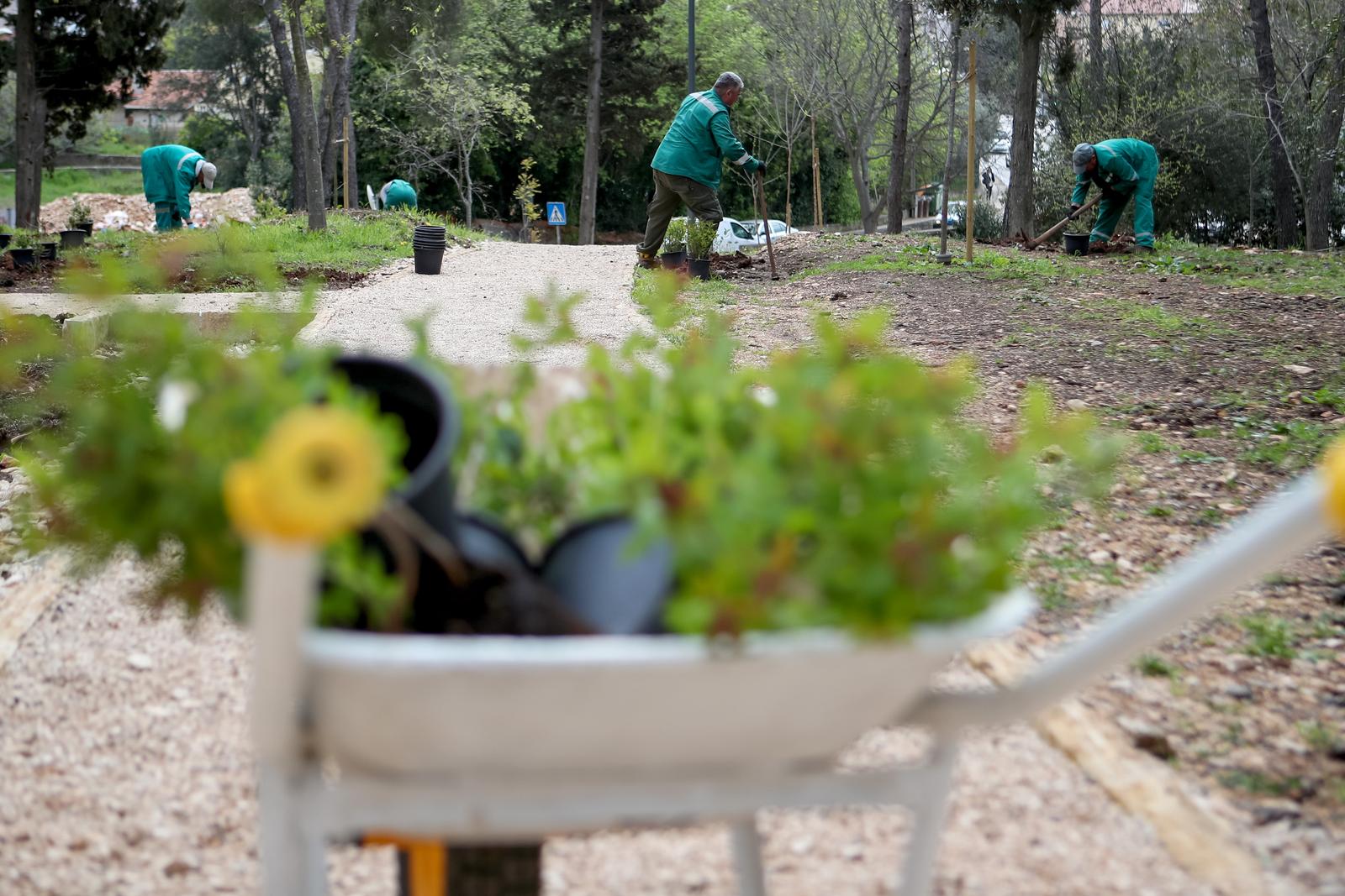 U Vruljici uređen Kišni vrt U Vruljici uređen Kišni vrt