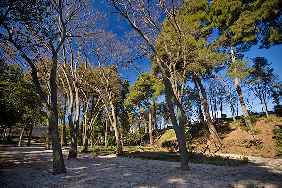 Đir zadarskim parkovima,27. veljače 2012. (foto:Saša Čuka)