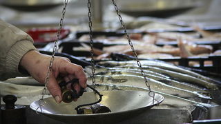 Đir po pešakariji 24. veljače 2012, Foto. Saša Čuka Đir po pešakariji 24. veljače 2012, Foto. Saša Čuka