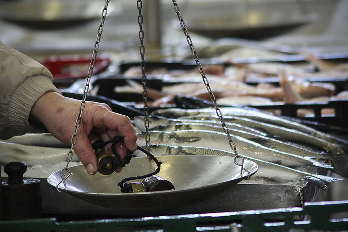 Đir po pešakariji 24. veljače 2012, Foto. Saša Čuka Đir po pešakariji 24. veljače 2012, Foto. Saša Čuka