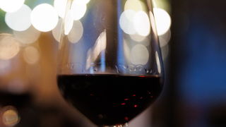 The Botanist – prvi zadarski veganski restoran The Botanist – prvi zadarski veganski restoran