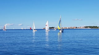 Zadarska Koka 2016. 22. listopada 2016. Foto: Mladen Malik Zadarska Koka 2016. 22. listopada 2016. Foto: Mladen Malik