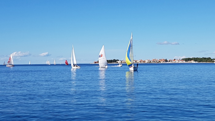 Zadarska Koka 2016. 22. listopada 2016. Foto: Mladen Malik Zadarska Koka 2016. 22. listopada 2016. Foto: Mladen Malik