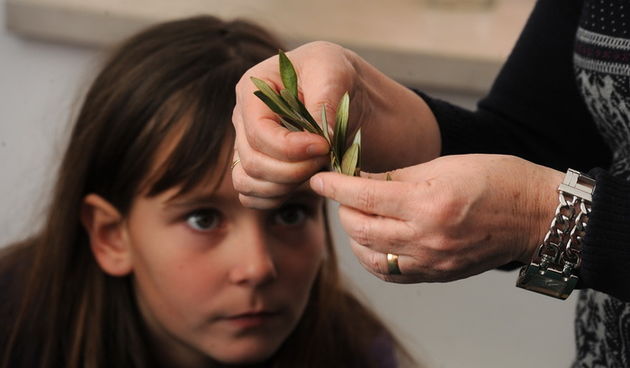 Zadar, 190313.
U prostoru gradske straze organizirana je radionica izrade maslinovih grancica za osnovnoskolce.
Na fotografiji: detalj s radionice.
Foto: Luka Gerlanc / CROPIX