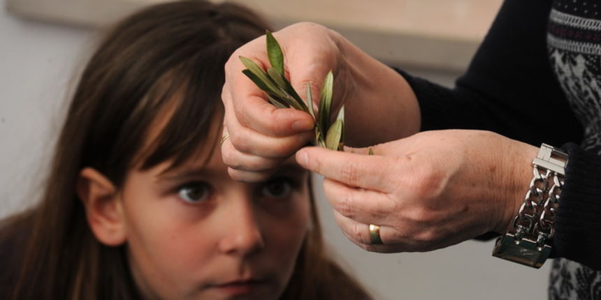 Zadar, 190313.
U prostoru gradske straze organizirana je radionica izrade maslinovih grancica za osnovnoskolce.
Na fotografiji: detalj s radionice.
Foto: Luka Gerlanc / CROPIX