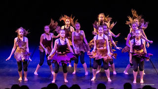 U Kazalištu lutaka održan Međunarodni plesni festival