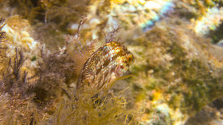 OLYMPUS DIGITAL CAMERA OLYMPUS DIGITAL CAMERA