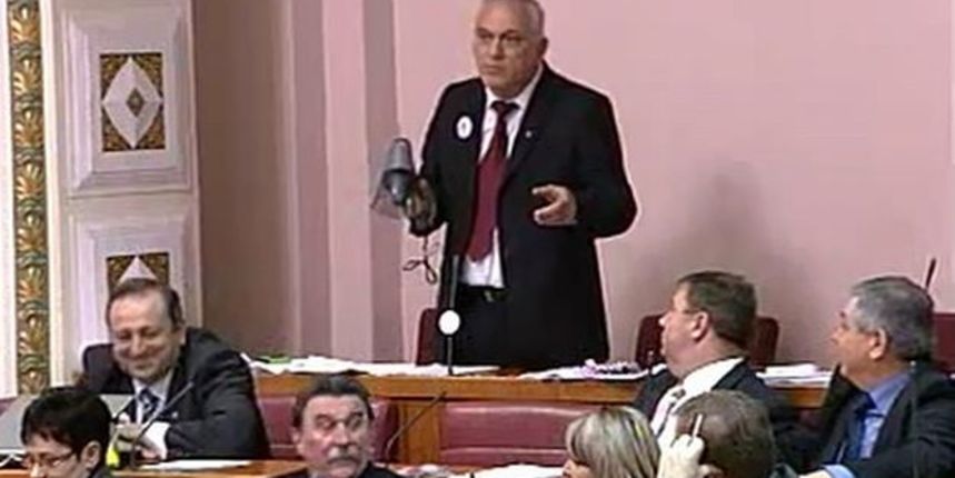 Grubišić-Sabor ( foto Screenshot Sabor.hr)