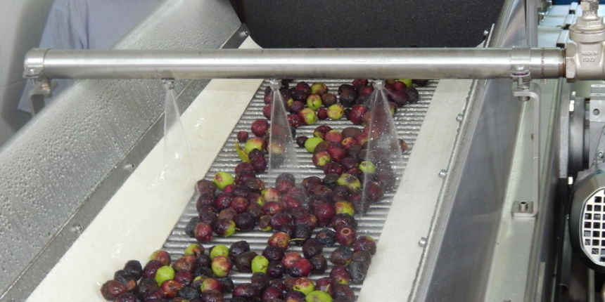 Uljara Predovan u Vrsima, maslinovo ulje Uljara Predovan u Vrsima, maslinovo ulje