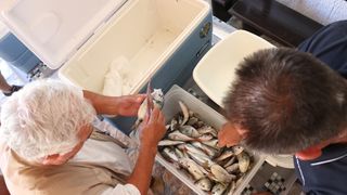 Vir: Memorijalni udičarski kup “Tonči Spavalica”