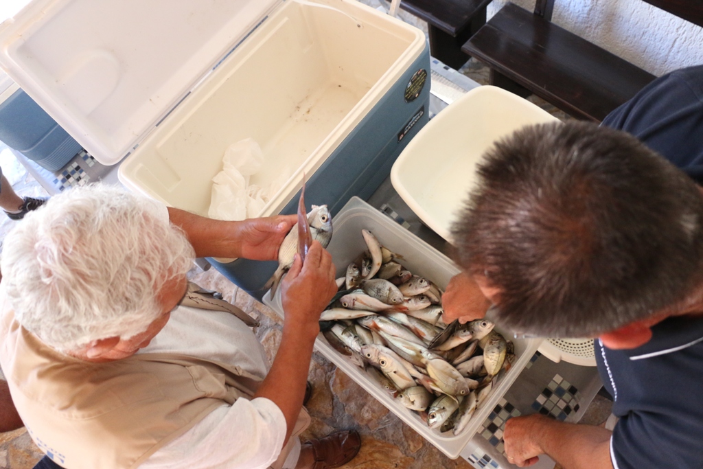 Vir: Memorijalni udičarski kup “Tonči Spavalica”