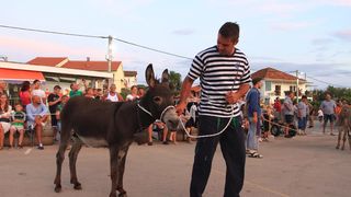 Trka Tovarov – 48. Memorijal Kenje Vijole Sukošan  Photo: Leo Banić
