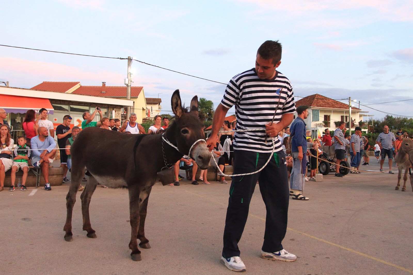 Trka Tovarov – 48. Memorijal Kenje Vijole Sukošan  Photo: Leo Banić
