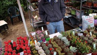 Sv. Filip i Jakov – 10. Dani cvijeća, 24. i 25. travnja 2010. (Foto: Vedran Penga)