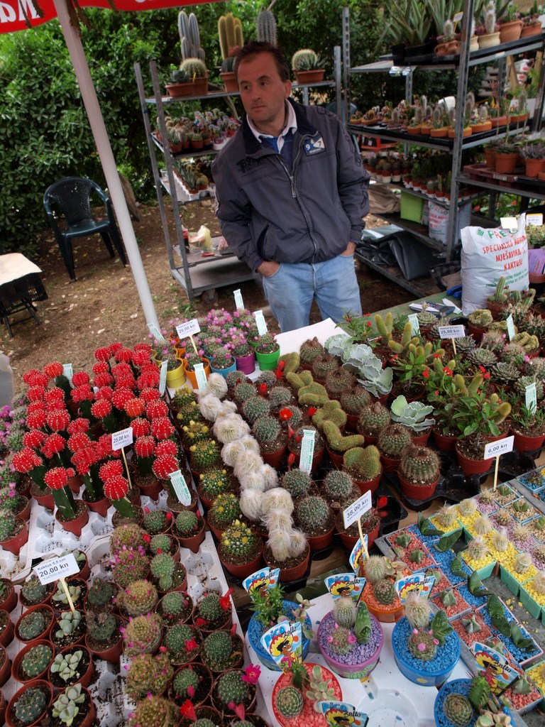 Sv. Filip i Jakov – 10. Dani cvijeća, 24. i 25. travnja 2010. (Foto: Vedran Penga)