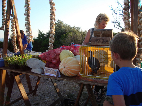 Manifestacija “Luka i igara” na vidikovcu Kamenjak. Foto: Gordana Šarić