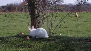 OLYMPUS DIGITAL CAMERA OLYMPUS DIGITAL CAMERA