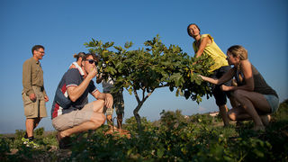 OPG Damjanić-Babac, foto: Darko Belančić OPG Damjanić-Babac, foto: Darko Belančić