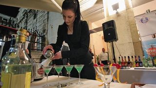 Havana Cup 2009. – 15. regionalno natjecanje barmena (foto: Marin Gospić)