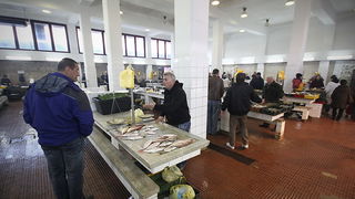 Đir po pešakariji 24. veljače 2012, Foto. Saša Čuka Đir po pešakariji 24. veljače 2012, Foto. Saša Čuka