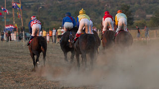 Polača: 14. Međunarodne konjičke utrke “Oluja 95”, Foto: Leo Banić Polača: 14. Međunarodne konjičke utrke “Oluja 95”, Foto: Leo Banić