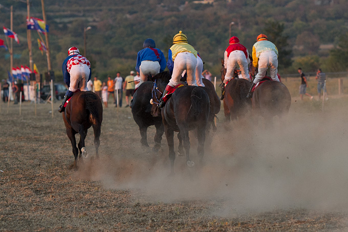 Polača: 14. Međunarodne konjičke utrke “Oluja 95”, Foto: Leo Banić Polača: 14. Međunarodne konjičke utrke “Oluja 95”, Foto: Leo Banić