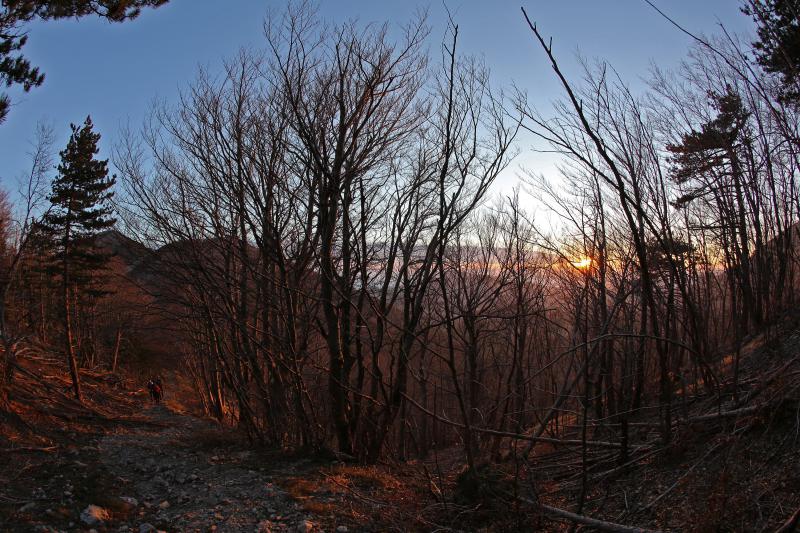 16.03.2014., Juzni Velebit – Topljenje snijega na Juznom Velebitu i procvjetani prvi planinski cvjetovi u ranom proljecu najavljuju skorasnje toplije vrijeme. Photo: Filip Brala/PIXSELL Autor Filip Brala/PIXSELL Ključne riječi rekreacija, planina, pro 16.03.2014., Juzni Velebit – Topljenje snijega na Juznom Velebitu i procvjetani prvi planinski cvjetovi u ranom proljecu najavljuju skorasnje toplije vrijeme. Photo: Filip Brala/PIXSELL Autor Filip Brala/PIXSELL Ključne riječi rekreacija, planina, pro