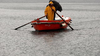 Zadar, 121012.
Obilna kisa od sinoc pada na zadarskom podrucju. Ocekuje se umjerena do velika kolicina kise,a puse slabo do umjereno jugo i jugozapadnjak. Najniza jutarnja temperatura zraka od 15 do 19, a najvisa ocekivana dnevna izmedju 18 i 21 Celzijevo