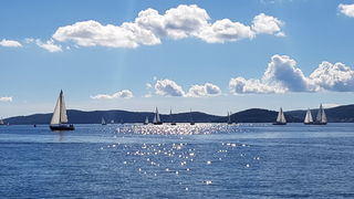 Zadarska Koka 2016. 22. listopada 2016. Foto: Mladen Malik Zadarska Koka 2016. 22. listopada 2016. Foto: Mladen Malik