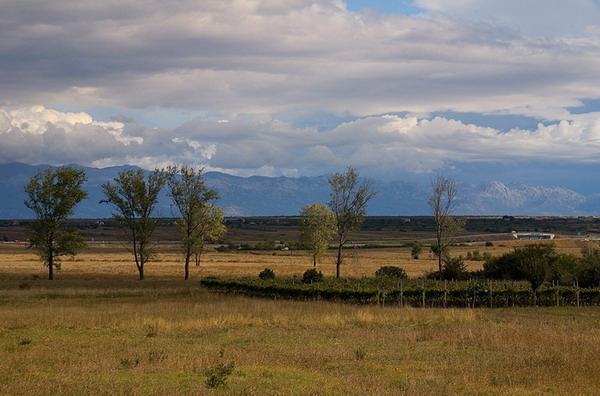 Krajolici zadarskog zaledja