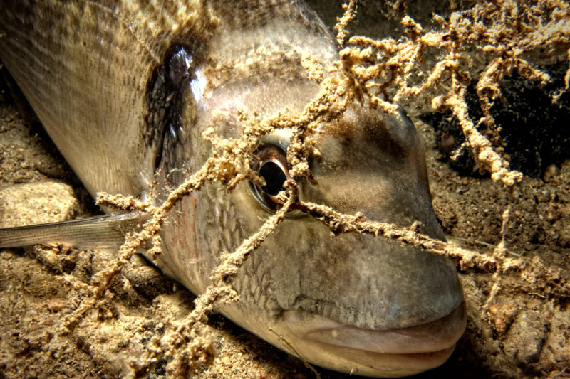 Foto: Ante Uglešić Foto: Ante Uglešić