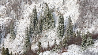 Đir do vrha Zečjak na sjevernom Velebitu, Foto: Leo Banić