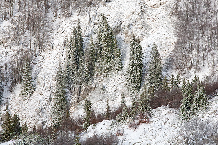 Đir do vrha Zečjak na sjevernom Velebitu, Foto: Leo Banić