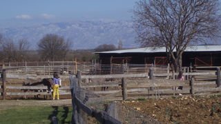 OLYMPUS DIGITAL CAMERA OLYMPUS DIGITAL CAMERA