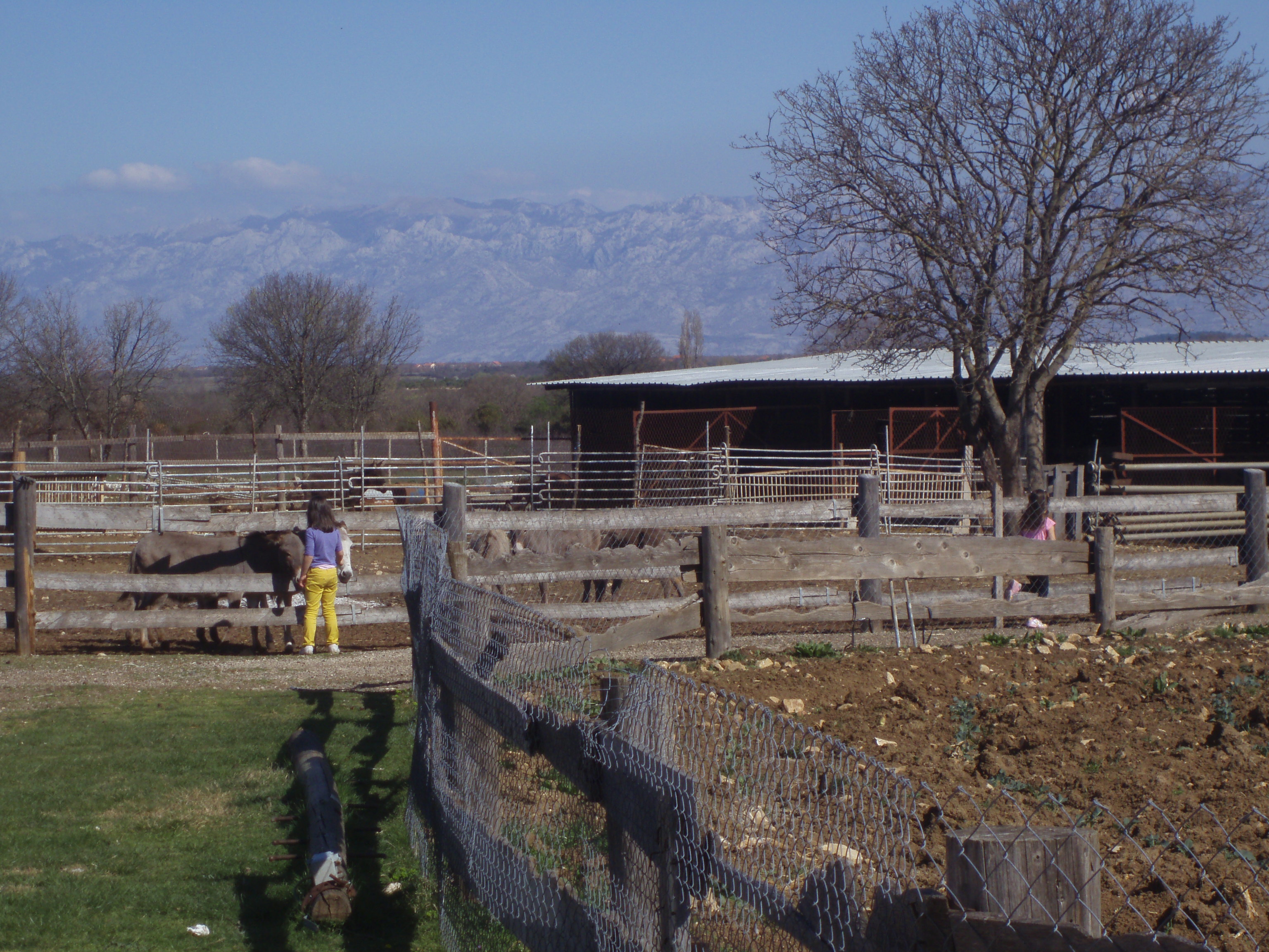 OLYMPUS DIGITAL CAMERA OLYMPUS DIGITAL CAMERA