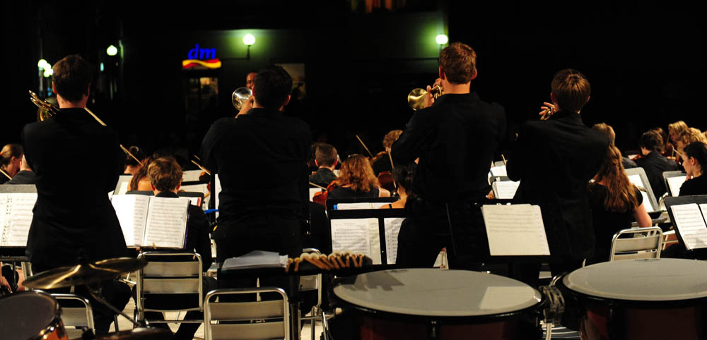 Koncert Strasbourg Youth Symphony orchestra, foto: Nenad Marčev Koncert Strasbourg Youth Symphony orchestra, foto: Nenad Marčev