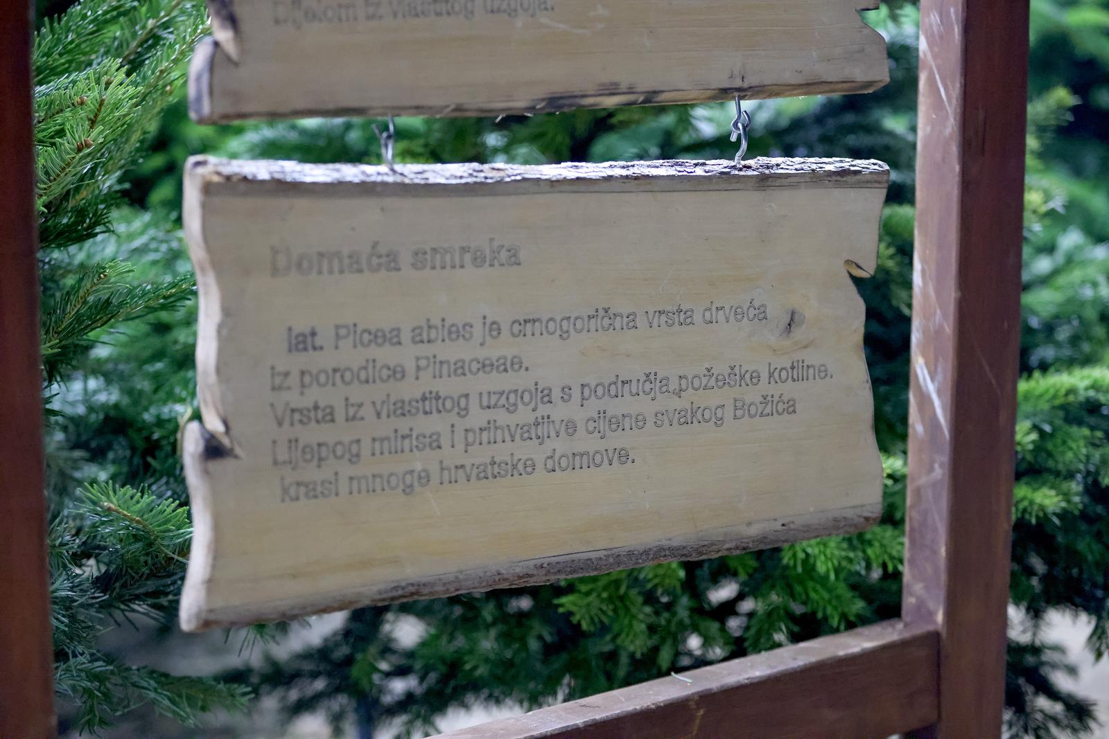 Prodaja božićnih jelki u Zadru Prodaja božićnih jelki u Zadru