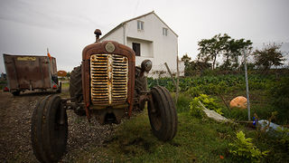 Farma “Dar-mar” (foto:Saša Čuka)