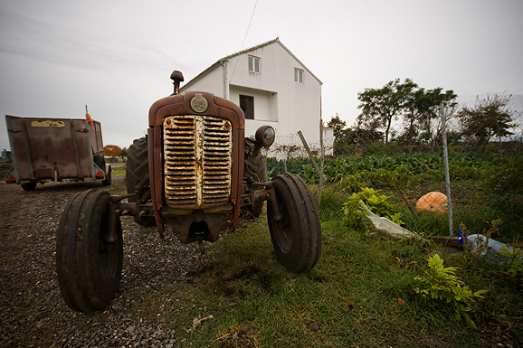 Farma “Dar-mar” (foto:Saša Čuka)