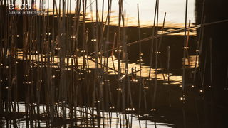 Nedjeljno svitanje na Vranskom jezeru Nedjeljno svitanje na Vranskom jezeru