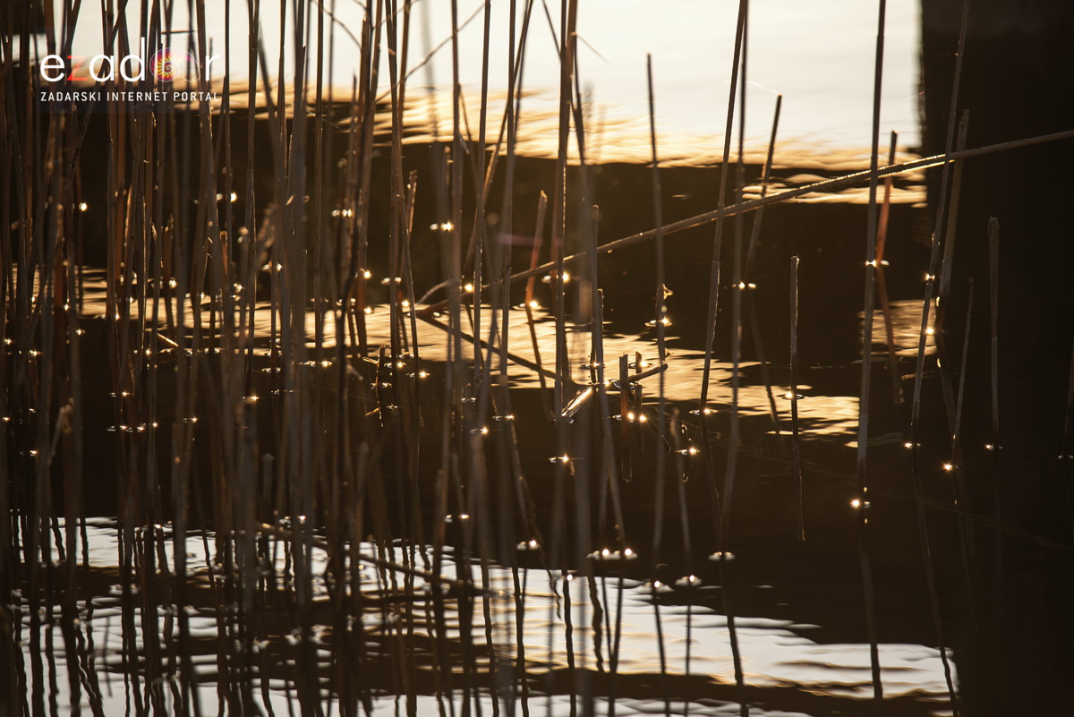 Nedjeljno svitanje na Vranskom jezeru Nedjeljno svitanje na Vranskom jezeru