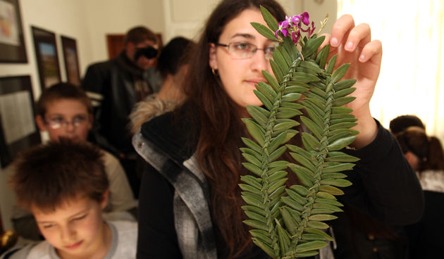 Na zadarskim otocima zivi tradicija pletenja maslinovih grancica koje se na blagdan Cvjetnice nose na blagolov. Etnoloski odjel Narodnog muzeja organizirao je radionicu pletenja grancica. Na fotografiji: Iva Radovic iz Graficke skole drzi ispletenu granci